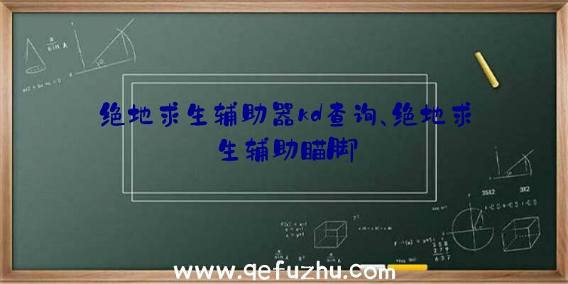 绝地求生辅助器kd查询、绝地求生辅助瞄脚