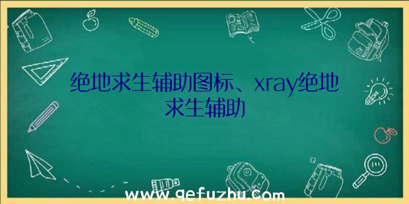 绝地求生辅助图标、xray绝地求生辅助