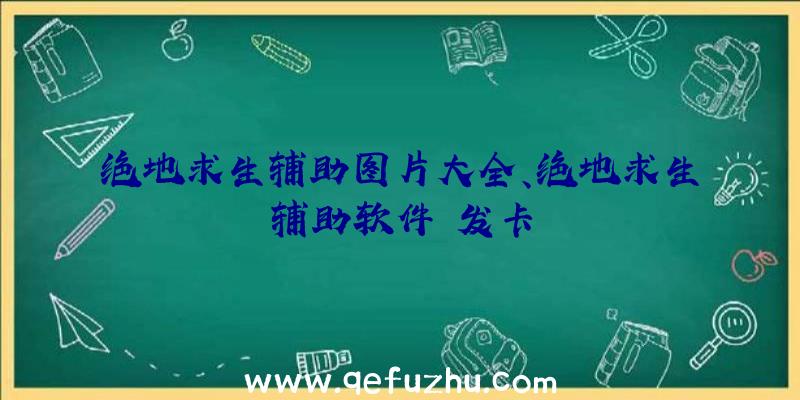 绝地求生辅助图片大全、绝地求生辅助软件