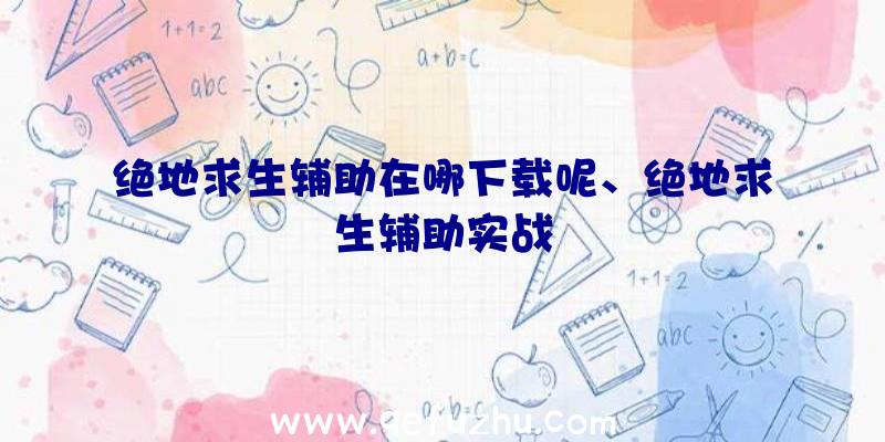 绝地求生辅助在哪下载呢、绝地求生辅助实战