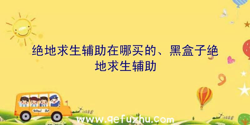 绝地求生辅助在哪买的、黑盒子绝地求生辅助