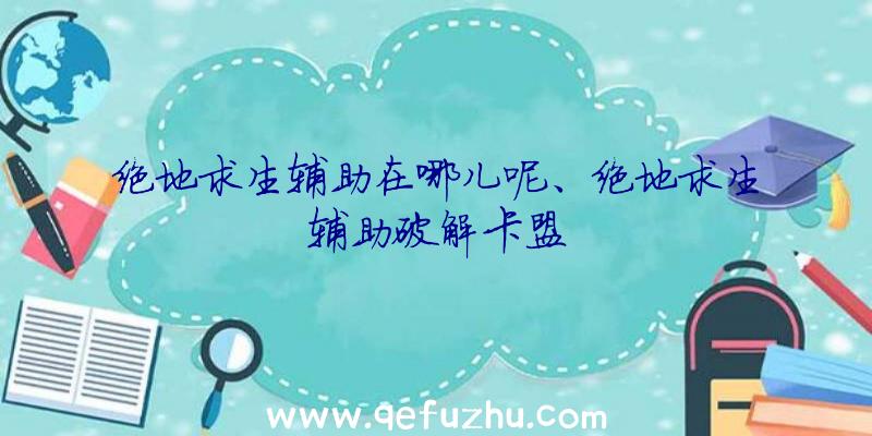 绝地求生辅助在哪儿呢、绝地求生辅助破解卡盟