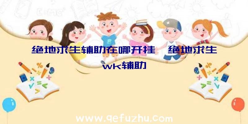 绝地求生辅助在哪开挂、绝地求生wk辅助