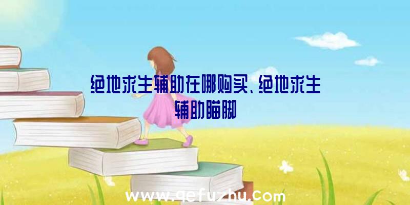 绝地求生辅助在哪购买、绝地求生辅助瞄脚