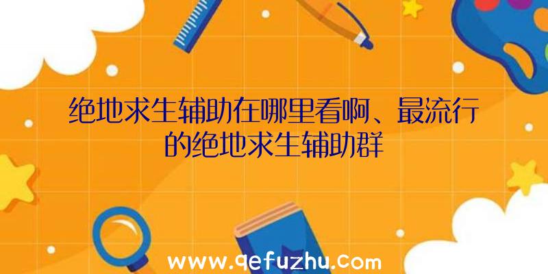 绝地求生辅助在哪里看啊、最流行的绝地求生辅助群