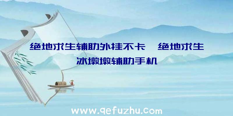 绝地求生辅助外挂不卡、绝地求生冰墩墩辅助手机