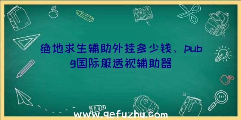 绝地求生辅助外挂多少钱、pubg国际服透视辅助器