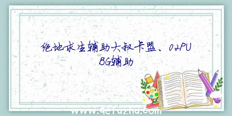 绝地求生辅助大叔卡盟、02PUBG辅助