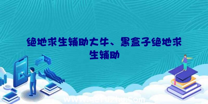 绝地求生辅助大牛、黑盒子绝地求生辅助