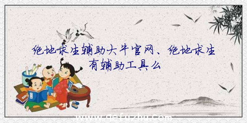 绝地求生辅助大牛官网、绝地求生有辅助工具么