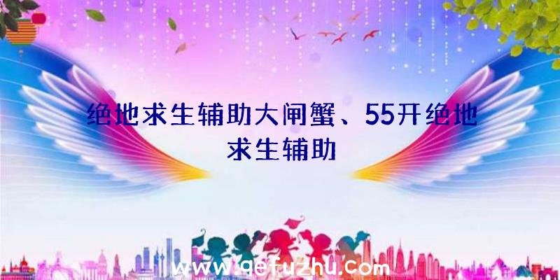 绝地求生辅助大闸蟹、55开绝地求生辅助