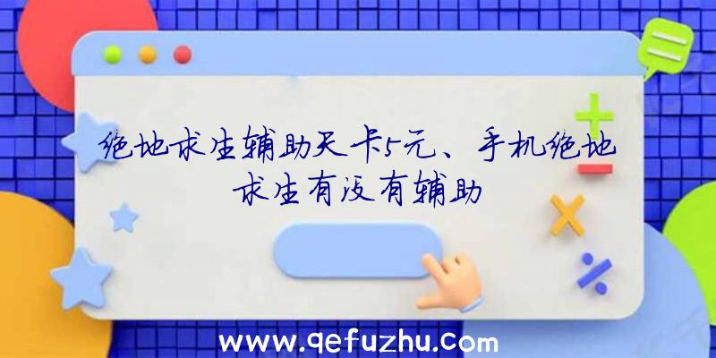 绝地求生辅助天卡5元、手机绝地求生有没有辅助