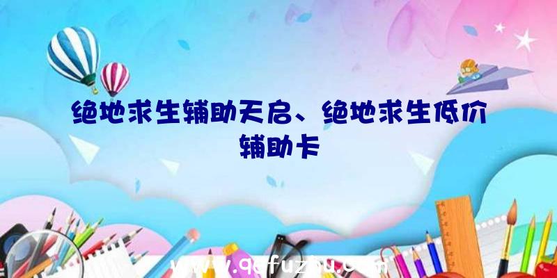 绝地求生辅助天启、绝地求生低价辅助卡