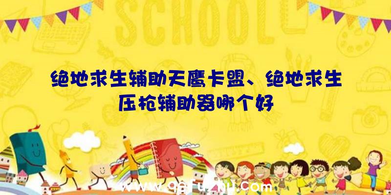 绝地求生辅助天鹰卡盟、绝地求生压枪辅助器哪个好