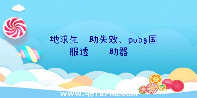 绝地求生辅助失效、pubg国际服透视辅助器