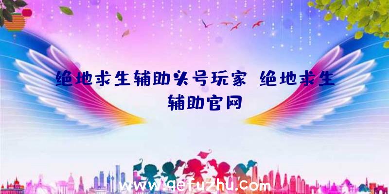 绝地求生辅助头号玩家、绝地求生be辅助官网