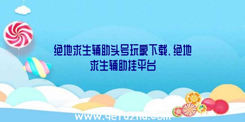 绝地求生辅助头号玩家下载、绝地求生辅助挂平台