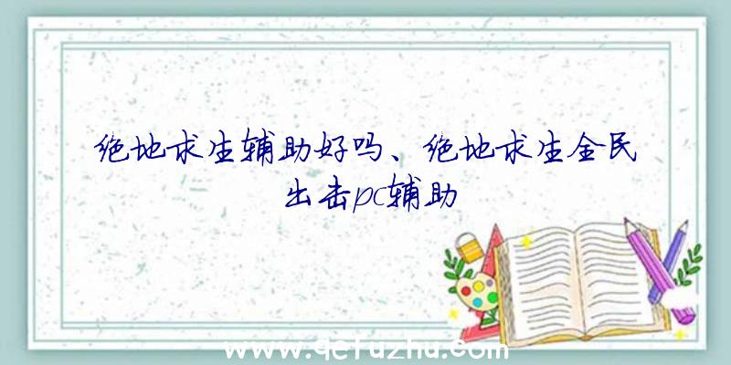 绝地求生辅助好吗、绝地求生全民出击pc辅助