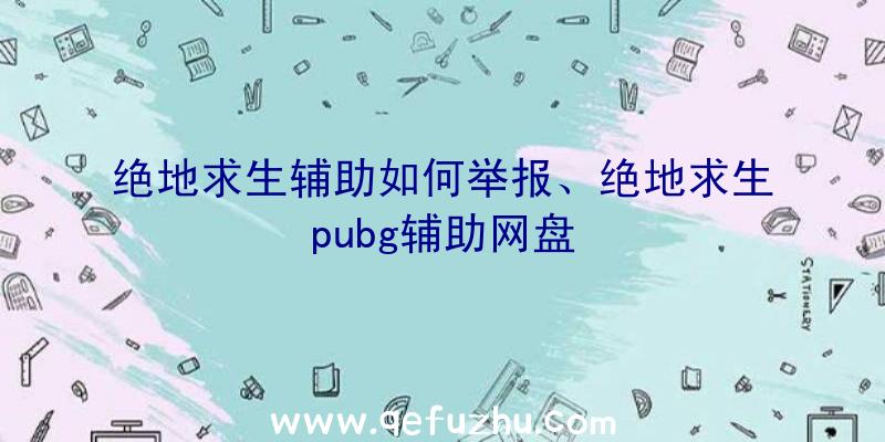 绝地求生辅助如何举报、绝地求生pubg辅助网盘