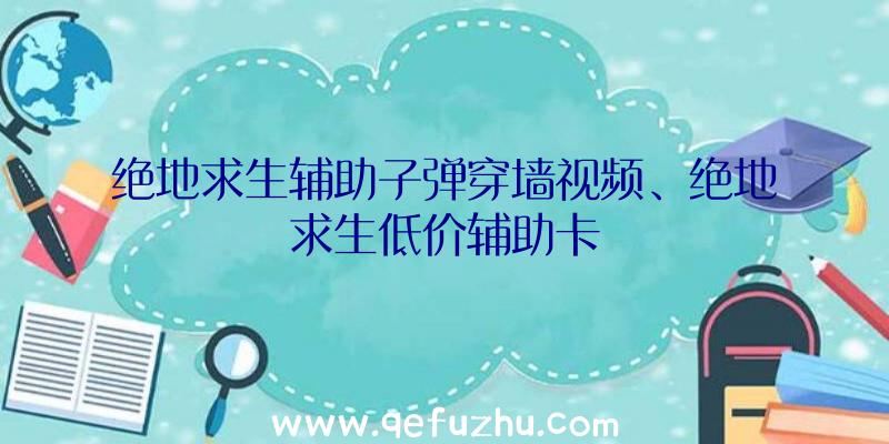 绝地求生辅助子弹穿墙视频、绝地求生低价辅助卡