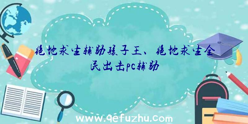 绝地求生辅助孩子王、绝地求生全民出击pc辅助