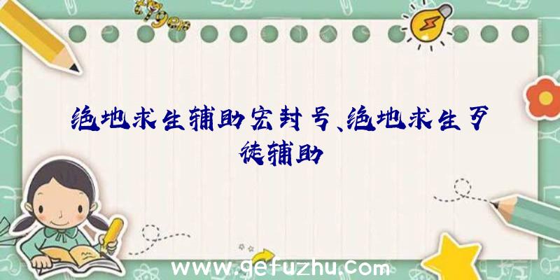 绝地求生辅助宏封号、绝地求生歹徒辅助