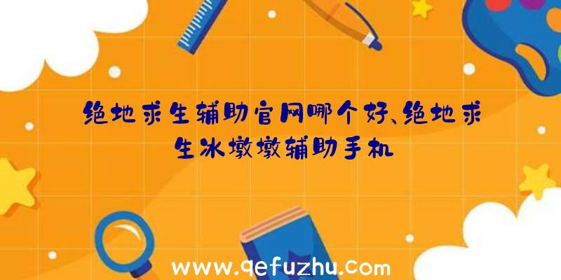 绝地求生辅助官网哪个好、绝地求生冰墩墩辅助手机