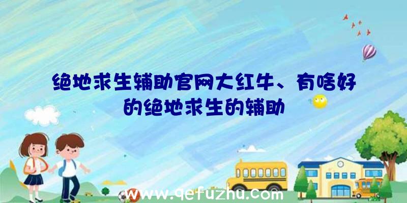 绝地求生辅助官网大红牛、有啥好的绝地求生的辅助