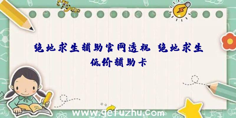 绝地求生辅助官网透视、绝地求生低价辅助卡