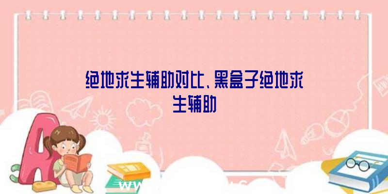 绝地求生辅助对比、黑盒子绝地求生辅助