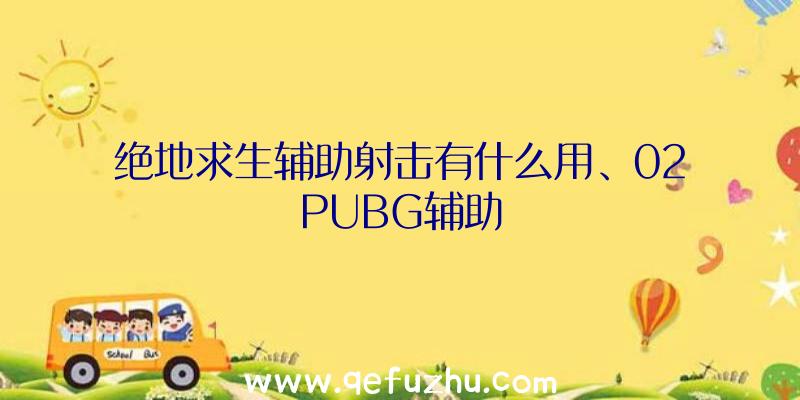 绝地求生辅助射击有什么用、02PUBG辅助