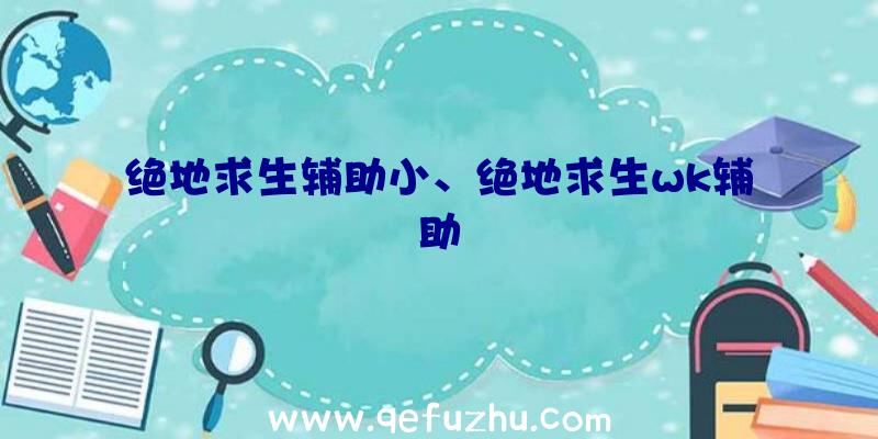 绝地求生辅助小、绝地求生wk辅助