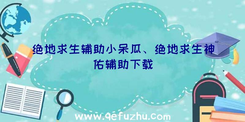 绝地求生辅助小呆瓜、绝地求生神佑辅助下载