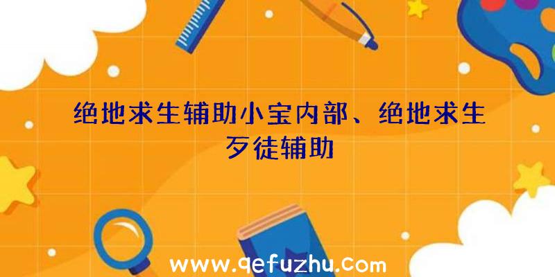 绝地求生辅助小宝内部、绝地求生歹徒辅助