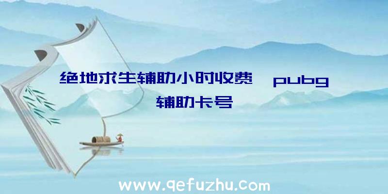 绝地求生辅助小时收费、pubg辅助卡号