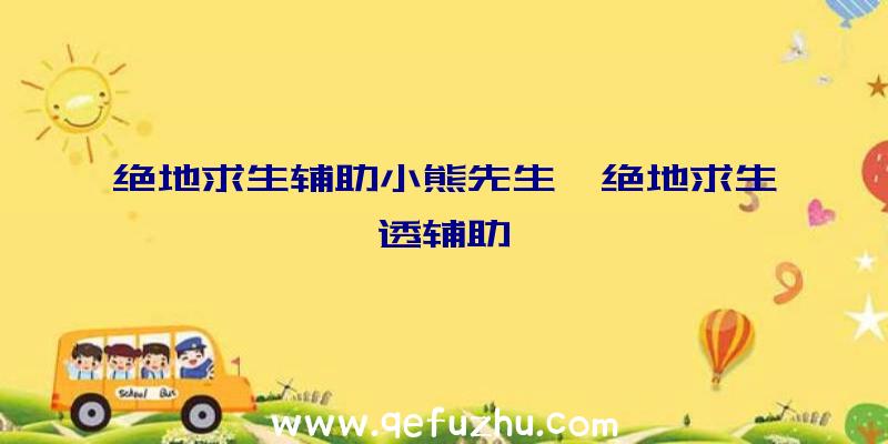 绝地求生辅助小熊先生、绝地求生透辅助