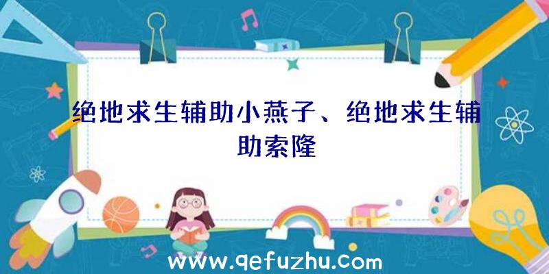 绝地求生辅助小燕子、绝地求生辅助索隆