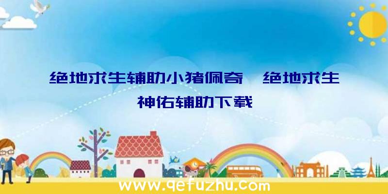 绝地求生辅助小猪佩奇、绝地求生神佑辅助下载