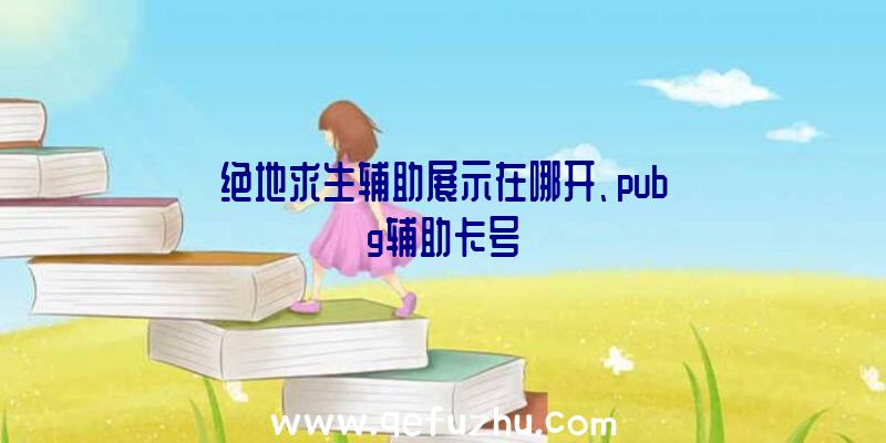 绝地求生辅助展示在哪开、pubg辅助卡号