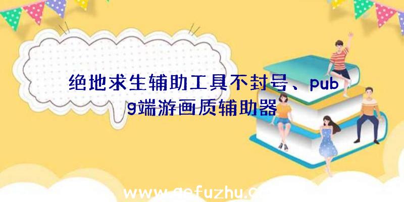 绝地求生辅助工具不封号、pubg端游画质辅助器