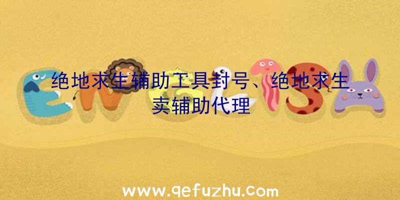 绝地求生辅助工具封号、绝地求生卖辅助代理