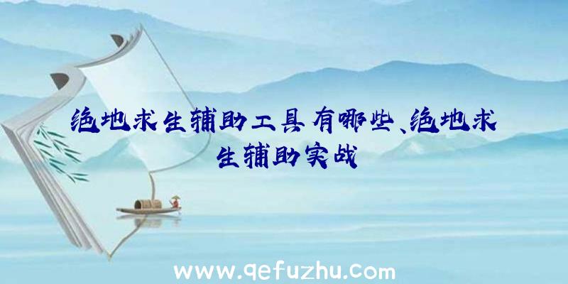 绝地求生辅助工具有哪些、绝地求生辅助实战