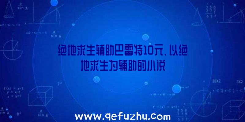 绝地求生辅助巴雷特10元、以绝地求生为辅助的小说