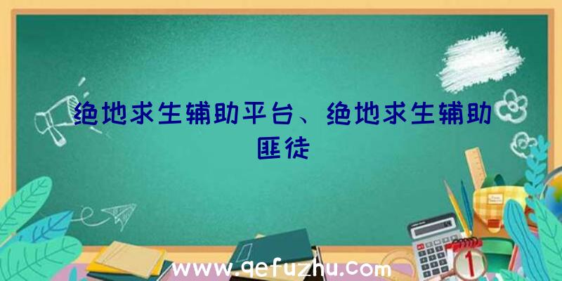 绝地求生辅助平台、绝地求生辅助匪徒