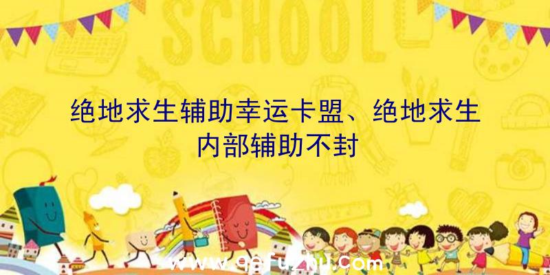 绝地求生辅助幸运卡盟、绝地求生内部辅助不封