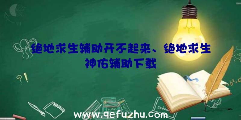 绝地求生辅助开不起来、绝地求生神佑辅助下载