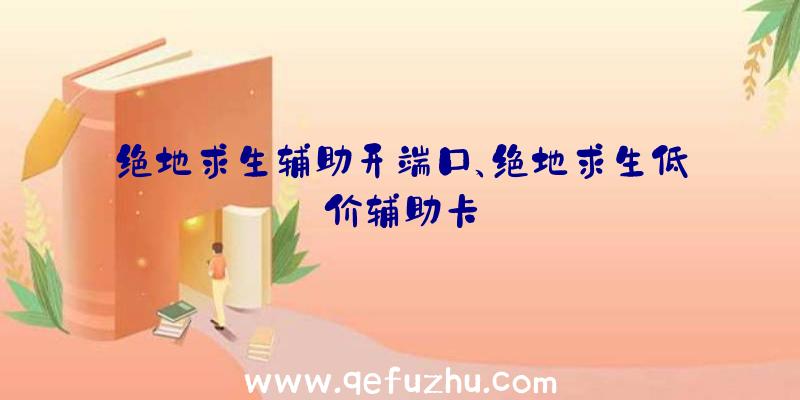 绝地求生辅助开端口、绝地求生低价辅助卡