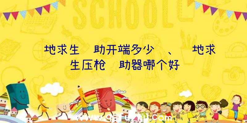 绝地求生辅助开端多少钱、绝地求生压枪辅助器哪个好