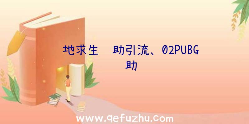 绝地求生辅助引流、02PUBG辅助