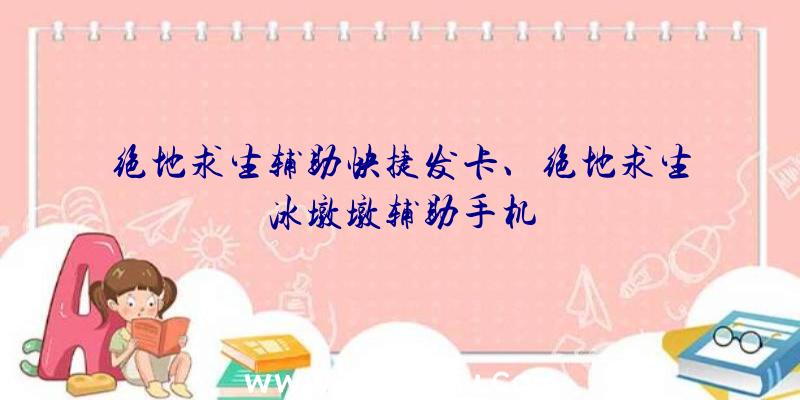 绝地求生辅助快捷发卡、绝地求生冰墩墩辅助手机